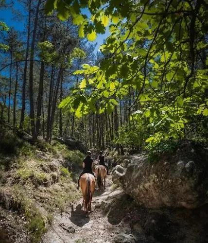 ヴィラ Garden - Center Of - Parking *