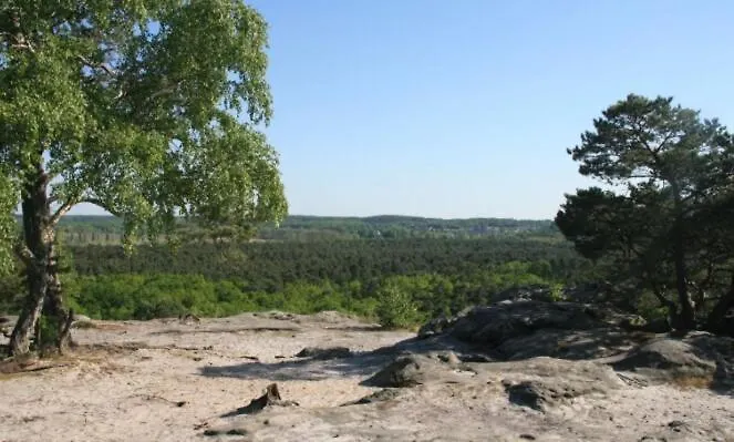 Garden - Center Of - Parking ヴィラ *